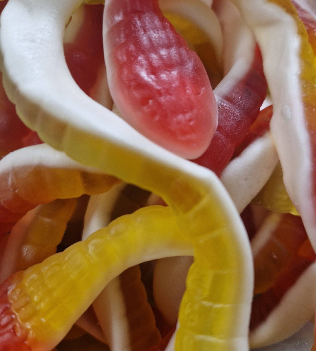 Gummy pythons