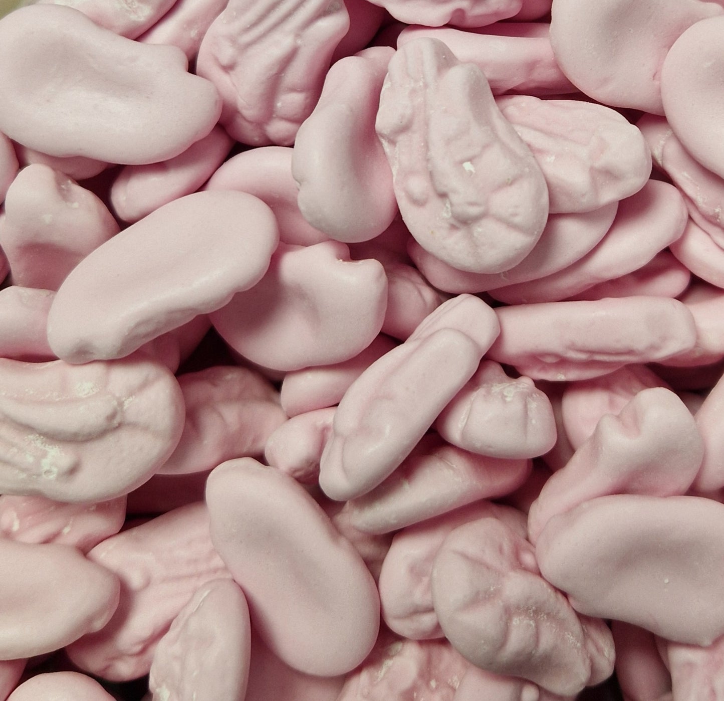 Shrimps